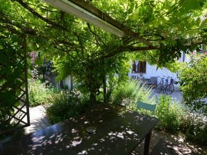 Zahrada ubytování Apartment on Adriatic Coast near Beach