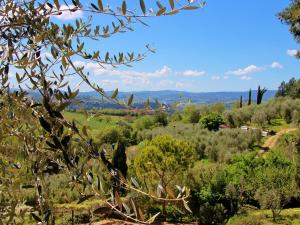 ポッジボンシにあるEnjoy the Tuscan landscape in a farmhouse with pool and wifiの木々や山々の畑の眺め