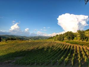 Paesaggio naturale nelle vicinanze dell'appartamento