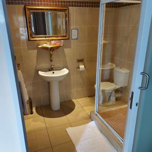 ein Bad mit einem Waschbecken und einem WC in der Unterkunft Villa Brocant Guest house in Vryburg
