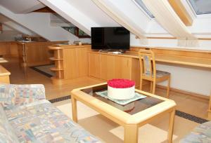 TV a/nebo společenská místnost v ubytování Apartment Welser