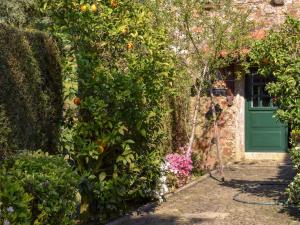 Detached house -formerly a mill- with swimming pool in an idyllic locationにある庭