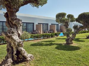 Zahrada ubytování Cavo Orient Beach Hotel & Suites