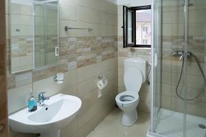 La salle de bains est pourvue de toilettes, d'un lavabo et d'une douche. dans l'établissement Vila Poienița Căciulata, à Călimăneşti