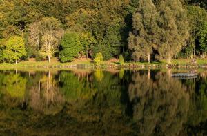 uma vista para um lago com árvores ao fundo em Eifel & See - Ferienhäuser am Waldsee Rieden/Eifel em Rieden