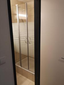 a glass shower stall in a bathroom with at Bed & Breakfast Der Tiroler in Achenkirch