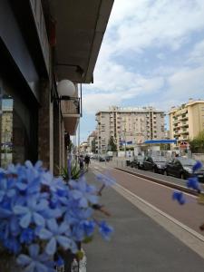 Okolí hotelu