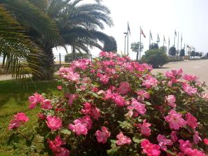 A garden outside Villaggio Ducale 012