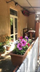 a planter of flowers on the side of a building at Lind Guest House B&B in Gyumri