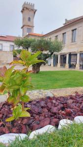 Um jardim em Casa da Torre - Viseu