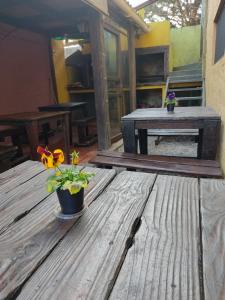 una mesa de madera con flores en una olla. en Terrazas de Aguas Dulces, en Aguas Dulces