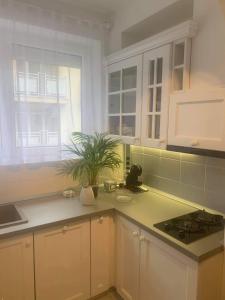 a kitchen with white cabinets and a plant on the counter at Hévíz Lake Apartman in Hévíz