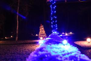 a christmas tree and a snow pile with blue lights at Клёвое место in Protsev
