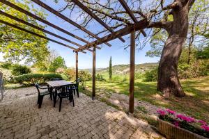 a patio with a table and chairs and a tree at Agriturismo Apparita in Montecastelli