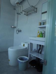 a small bathroom with a toilet and a sink at Beijing Huanghuacheng Water Great Wall Derunju Guesthouse in Huairou