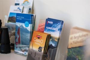 Fotografie z fotogalerie ubytování Budget rooms Pilatus - Alpnachstad v destinaci Alpnachstad