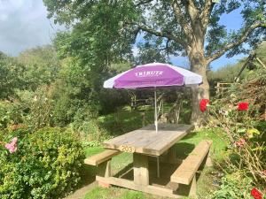 uma mesa de piquenique com um guarda-sol num jardim em The Hoops Inn & Country Hotel em Bideford