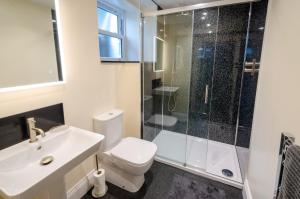 a bathroom with a toilet sink and a shower at Anns Cottage, Chapel Stile in Chapel Stile