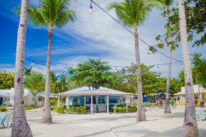 a group of palm trees in front of a building at La Playa Estrella Beach Resort in Bantayan Island