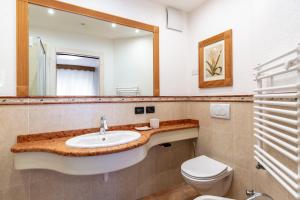 a bathroom with a sink and a toilet and a mirror at Valle Maura in Canazei +23 photos