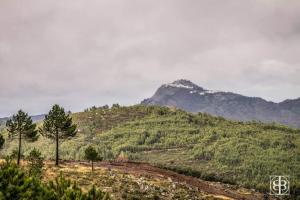 una colina con una montaña en el fondo en La Cabaña Romantica de Llano en Valencia de Alcántara