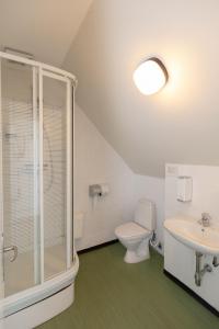a bathroom with a shower and a toilet and a sink at Skråvej Bed & Breakfast in Skagen