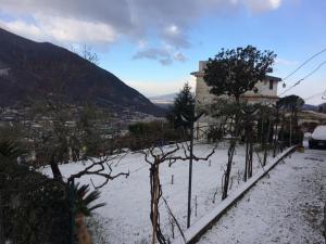 a snow covered yard with trees and a building at La Torretta Bianca in Cava deʼ Tirreni