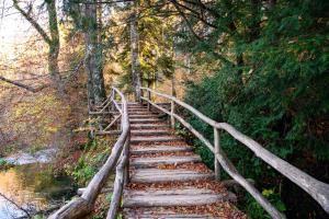 Galeriebild der Unterkunft Apartment Goran in Poljanak