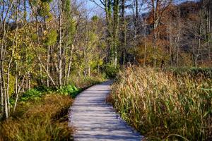 Galeriebild der Unterkunft Apartment Goran in Poljanak