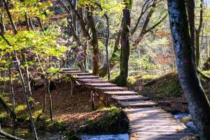 Galeriebild der Unterkunft Apartment Goran in Poljanak