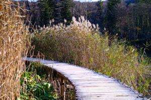 Galeriebild der Unterkunft Apartment Goran in Poljanak + 24 Fotos