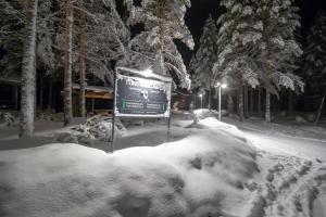 Tunturipöllö 4 v zimě