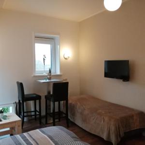 1 dormitorio con cama, mesa y TV en Veenemaat, en Winterswijk