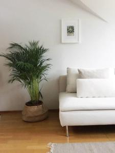 a living room with a white couch and a plant at Roost Pursimiehenkatu in Helsinki +3 photos