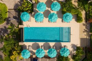 an overhead view of a swimming pool with blue umbrellas at Beach View Hotel in Saint James
