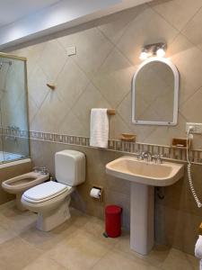 ein Badezimmer mit einem WC, einem Waschbecken und einem Spiegel in der Unterkunft Apart Chalten in El Calafate