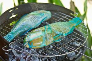 deux plats de poisson bleu et vert préparés sur un grill dans l'établissement Gwada Dream, à Sainte-Anne