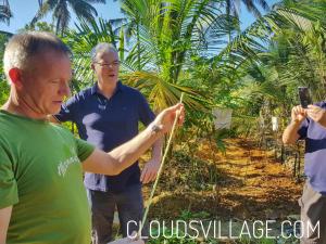 Gallery image of Clouds Village Farm Resort Thodupuzha in Thodupuzha