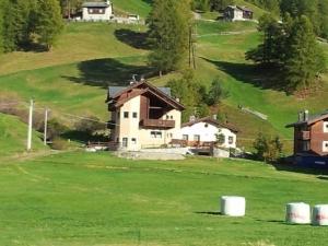 una casa in cima a un campo verde con barili di Chalet Rin da Pemont a Livigno