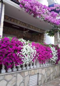 Ein paar lila und weiße Blumen auf dem Balkon in der Unterkunft Apartments Dobri - 500m from beach in Batalaži