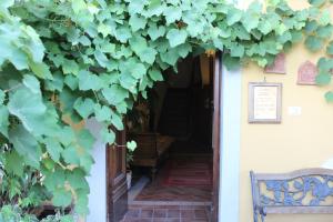 Fotografie z fotogalerie ubytování B&B Il Casale di Nanni v destinaci Lucca