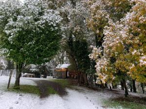 Cabaña - A Pastoriza - Lugo om vinteren