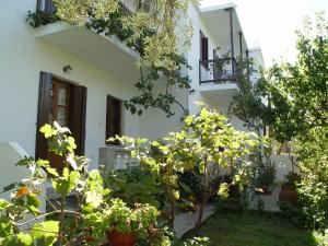 Um jardim em Platanakia