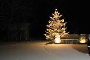 Un árbol de Navidad con luces en un patio por la noche en Biohof Untergrabenbauer, en Lidaun