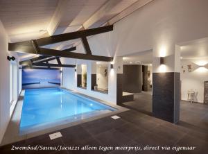 a swimming pool in a house with a ceiling at B&B Bavelse Hoeve in Bavel