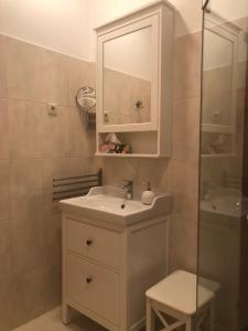biała łazienka z umywalką i prysznicem w obiekcie Haus Edelgrün w mieście Tauplitz