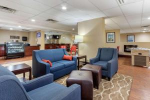 A seating area at Comfort Inn St Petersburg North