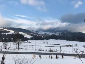 a snow covered field with a mountain in the background at Haus Edelgrün in Tauplitz