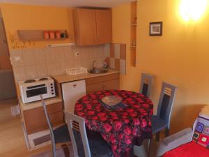 Kuhinja ili čajna kuhinja u objektu Apartmani Popovic +10 fotografija