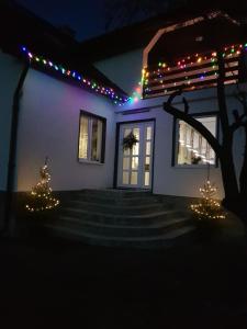 Una casa con luces de Navidad en un lado. en Casa ABP, en Vatra Dornei